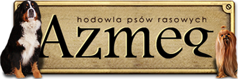 AZMEG - Domowa Hodowla Psów Rasowych